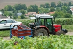 Champagne O.BELIN - Le chargement des caisses sur le tracteur