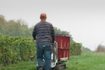 Champagne O. BELIN - Le dbardage au chenillard