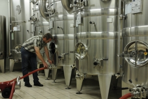 Champagne O. BELIN - La cuverie