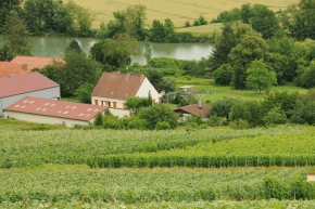 Champagne O. BELIN - L'exploitation familiale