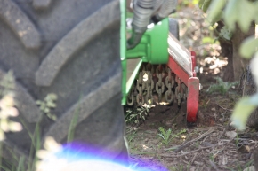 Champagne O. BELIN - La tondeuse