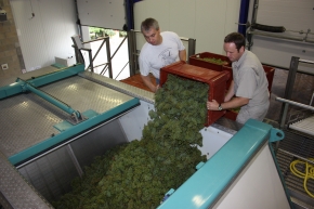 Champagne O. BELIN - Un pressoir de Chardonnay Champagne O. BELIN - Un pressoir de Chardonnay