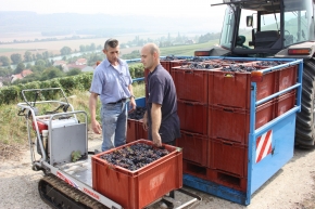 Champagne O. BELIN - En route vers le pressoir Champagne O. BELIN - En route vers le pressoir